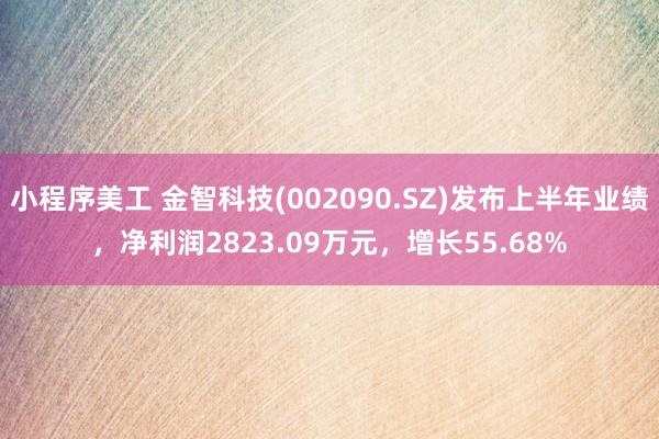 小程序美工 金智科技(002090.SZ)发布上半年业绩，净利润2823.09万元，增长55.68%