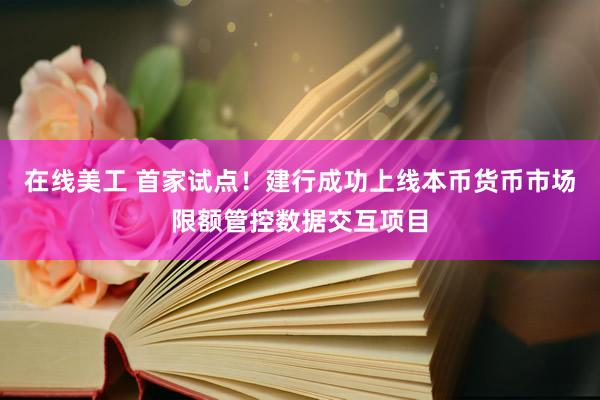 在线美工 首家试点！建行成功上线本币货币市场限额管控数据交互项目