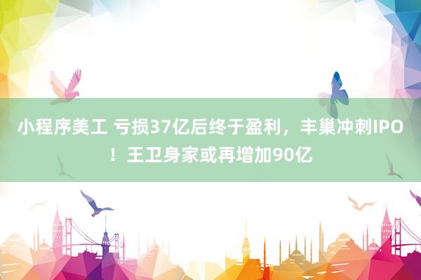 小程序美工 亏损37亿后终于盈利，丰巢冲刺IPO！王卫身家或再增加90亿